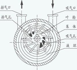 水環(huán)式真空泵